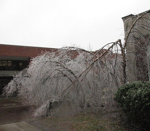 Waterfield Library in 2009 Ice Storm